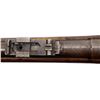 Image 21 : AUSTRIAN WERNDL | Model: 1867 Carbine | Caliber: 11.15 X 36R