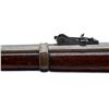 Image 10 : US SPRINGFIELD | Model: 1884 Sporter | Caliber: .45-70 GOVT