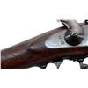 Image 13 : US SPRINGFIELD | Model: 1884 Sporter | Caliber: .45-70 GOVT