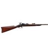 Image 2 : US SPRINGFIELD | Model: 1884 Sporter | Caliber: .45-70 GOVT