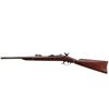 Image 5 : US SPRINGFIELD | Model: 1884 Sporter | Caliber: .45-70 GOVT