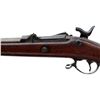 Image 6 : US SPRINGFIELD | Model: 1884 Sporter | Caliber: .45-70 GOVT