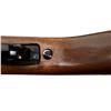 Image 11 : ROSSI | Model: RS22 | Caliber: .22 LR