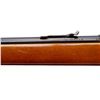 Image 9 : CIL ANSCHUTZ | Model: 167 | Caliber: .22 LR