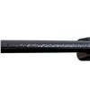 Image 12 : SAVAGE | Model: A17 | Caliber: .17 HMR
