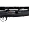 Image 3 : SAVAGE | Model: A17 | Caliber: .17 HMR