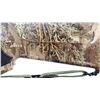 Image 8 : CVA | Model: Accura | Caliber: .50 CAL