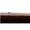 Image 12 : HENRY REPEATING ARMS | Model: Single Shot H015-12 | Caliber: 12 G X 3 1/2"