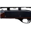Image 6 : REMINGTON | Model: Nylon 66 | Caliber: .22 LR