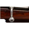 Image 13 : ITALIAN CARCANO | Model: 91 Cavalry Carbine | Caliber: 6.5 X 52 CARCANO