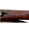 Image 15 : ITALIAN CARCANO | Model: 91 Cavalry Carbine | Caliber: 6.5 X 52 CARCANO