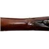Image 19 : SWISS SCHMIDT RUBIN | Model: 1889 | Caliber: 7.5 X 53.5