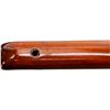 Image 16 : BRITISH ENFIELD | Model: P14 Sporter | Caliber: .303 BR