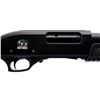 Image 3 : CHARLES DALY | Model: 301 | Caliber: 12 G X 3"