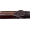Image 15 : REMINGTON | Model: 30 Express | Caliber: .30 CAL 1906 (.30-06 SPRG)