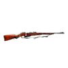 Image 1 : MOSIN NAGANT | Model: 91/30 Custom | Caliber: 11MM X 54R