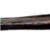 Image 17 : RUSSIAN MOSIN NAGANT | Model: 91/30 Refurb | Caliber: 7.62 X 54R
