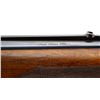 Image 13 : BRNO | Model: ZH205 | Caliber: .22 SAV HP/12 G X 2 3/4"