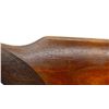 Image 9 : BRNO | Model: ZH205 | Caliber: .22 SAV HP/12 G X 2 3/4"