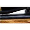 Image 8 : RUGER | Model: 10/22 Target | Caliber: .22 LR
