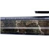 Image 8 : SAVAGE | Model: Axis XP  | Caliber: .243 WIN