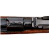 Image 16 : STEYR MANNLICHER | Model: 1886 | Caliber: 8 X 52R