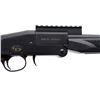 Image 3 : CHARLES DALY | Model: 101 | Caliber: 410 G X 3"