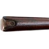 Image 15 : BRITISH ENFIELD | Model: P14 MKI | Caliber: .303 BR