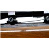 Image 7 : REMINGTON | Model: 700 | Caliber: .22-250 REM