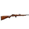 Image 2 : CZ | Model: 457 Jaguar | Caliber: .22 LR
