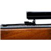 Image 8 : WINCHESTER | Model: 9422M XTR | Caliber: .22 WIN MAG