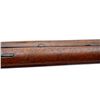 Image 12 : US SPRINGFIELD | Model: 1903 | Caliber: .30-06 SPRG