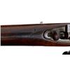 Image 16 : US SPRINGFIELD | Model: 1903 | Caliber: .30-06 SPRG