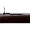 Image 21 : US ENFIELD | Model: 1917 | Caliber: .30-06 SPRG