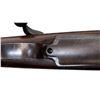 Image 22 : US ENFIELD | Model: 1917 | Caliber: .30-06 SPRG