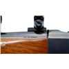 Image 8 : RUGER | Model: NO3 | Caliber: .45-70 GOVT