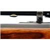 Image 8 : RUGER | Model: All Weather 77/22 | Caliber: .22 HORNET