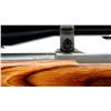 Image 9 : RUGER | Model: All Weather 77/22 | Caliber: .22 HORNET