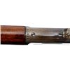 Image 17 : MARLIN | Model: 1893 | Caliber: .38-55 WCF