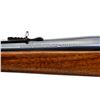 Image 10 : WINCHESTER | Model: 1895 | Caliber: .303 BR