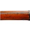 Image 13 : GERMAN MAUSER | Model: 98 AZ Weimar Republic | Caliber: 8MM MAUSER