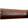 Image 19 : EGYPTIAN  | Model: SAFN 49 Custom | Caliber: 8MM MAUSER
