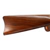 Image 11 : PEDERSOLI | Model: Springfield Trap Door Long Range Rifle | Caliber: .45-70 GOVT