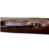 Image 13 : PEDERSOLI | Model: 1886 Sporting | Caliber: .45-70 GOVT