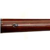 Image 16 : BROWNING | Model: 81 BLR | Caliber: .284 WIN