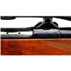 Image 13 : COLT SAUER | Model: Sporting Rifle | Caliber: 7MM REM MAG