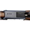 Image 9 : CHIAPPA | Model: Double Badger | Caliber: .22 LR/410 G X 3"