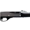 Image 3 : REMINGTON | Model: Nylon 66 Apache Black | Caliber: .22 LR