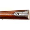 Image 16 : SWEDISH MAUSER | Model: 96/38 | Caliber: 6.5 X 55