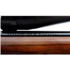 Image 8 : MARLIN | Model: XT-17 | Caliber: .17 HMR